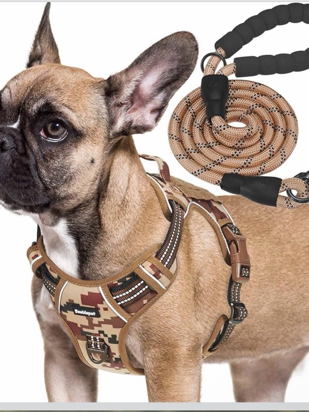 Adjustable Pet Harness Service Training Easy Control Harness and Leash